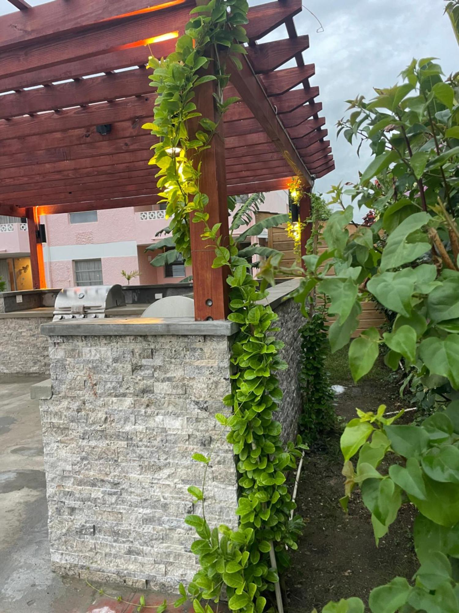 The Monteray Hotel Christ Church Ngoại thất bức ảnh
