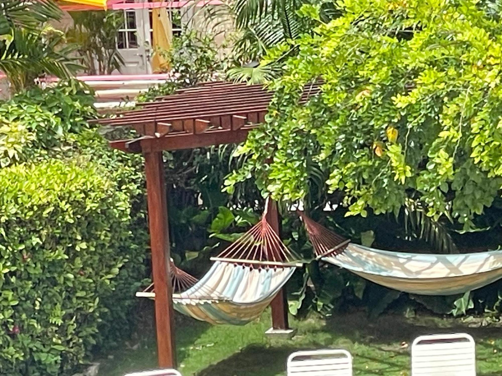 The Monteray Hotel Christ Church Ngoại thất bức ảnh